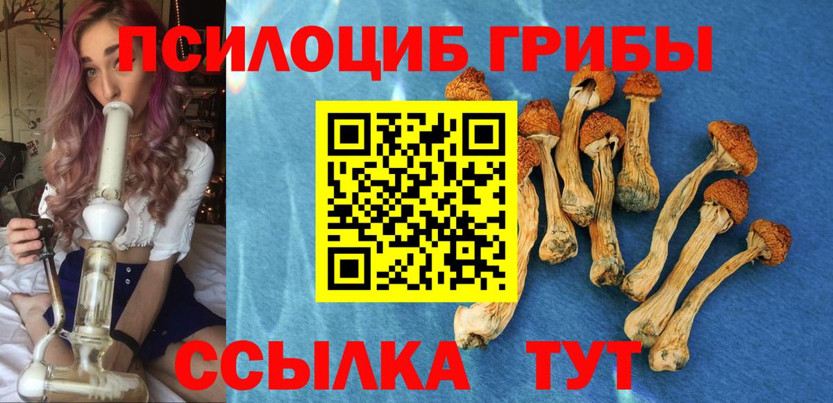 Александров  Псилоцибиновые грибы MAGIC MUSHROOMS  Вход с VPN 