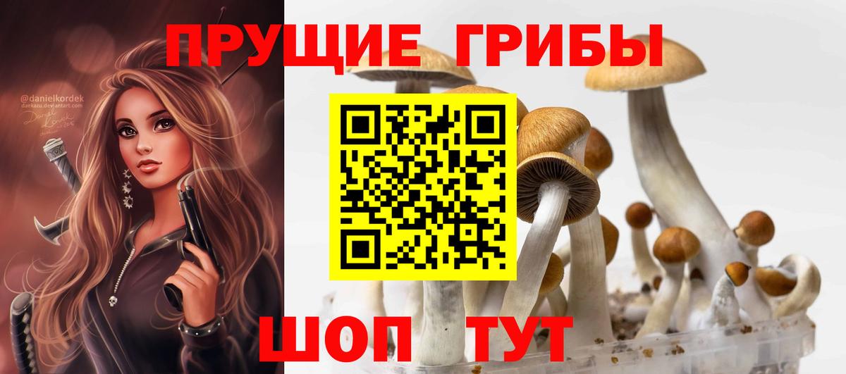 Галлюциногенные грибы мухоморы Александров